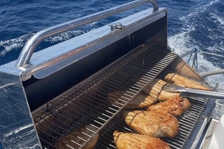 Grilled chicken on a barbecue with ocean in the background.